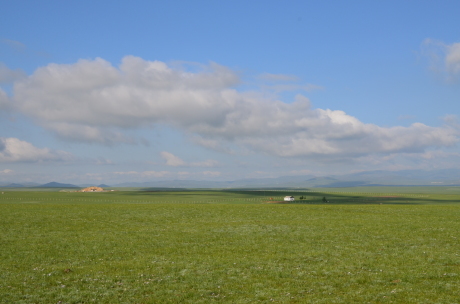 b0277147_20094766.jpg