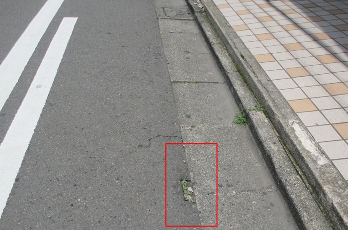 b0009849_15211534.jpg