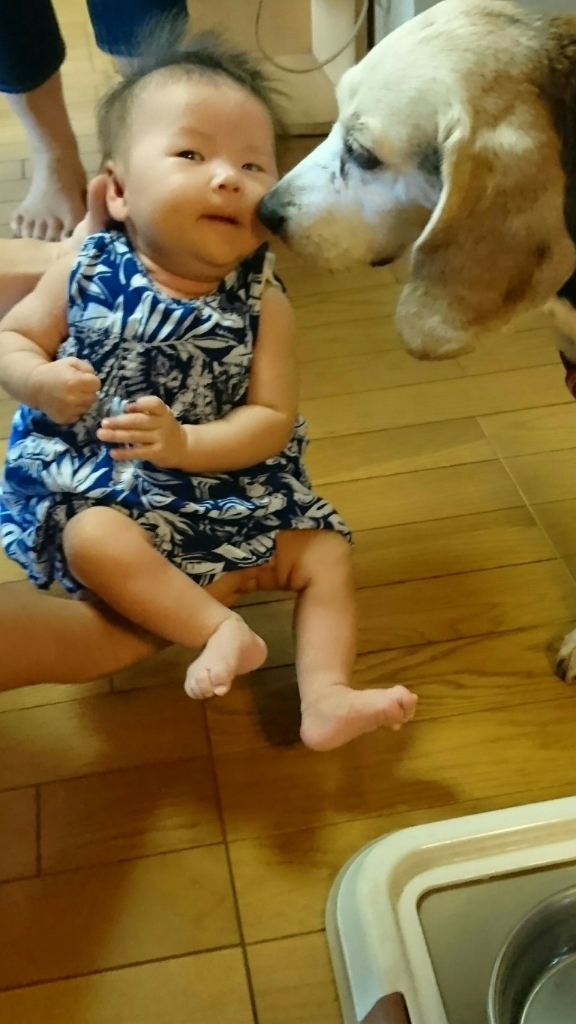 c0134850_00040962.jpg