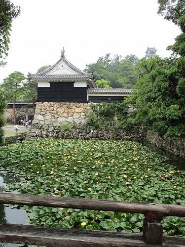 c0327752_00360763.jpg