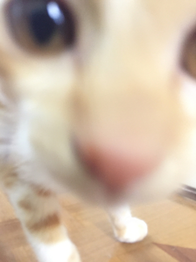 e0301153_01301446.jpg