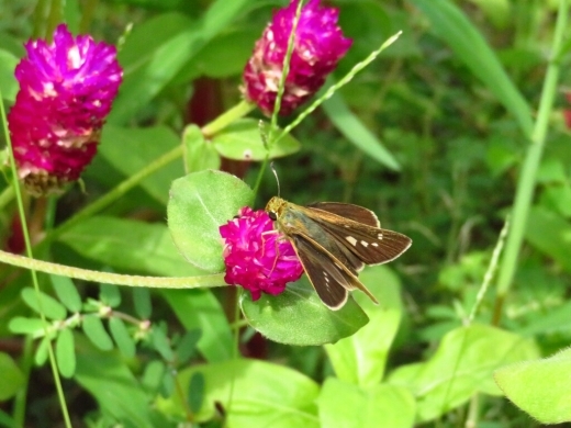 a0018655_14403780.jpg