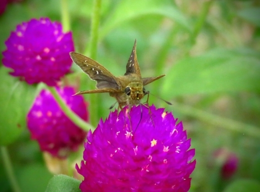 a0018655_14404570.jpg