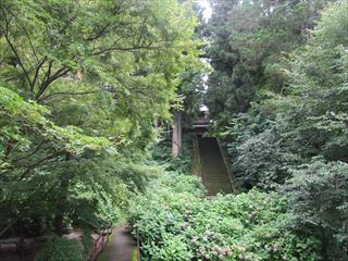 d0045362_10594081.jpg