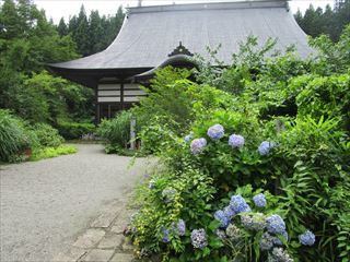 d0045362_11000438.jpg