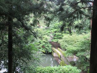 d0045362_11002371.jpg