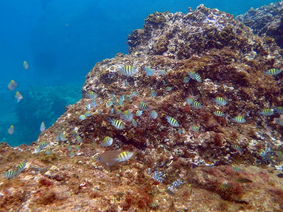 c0123363_1245460.jpg