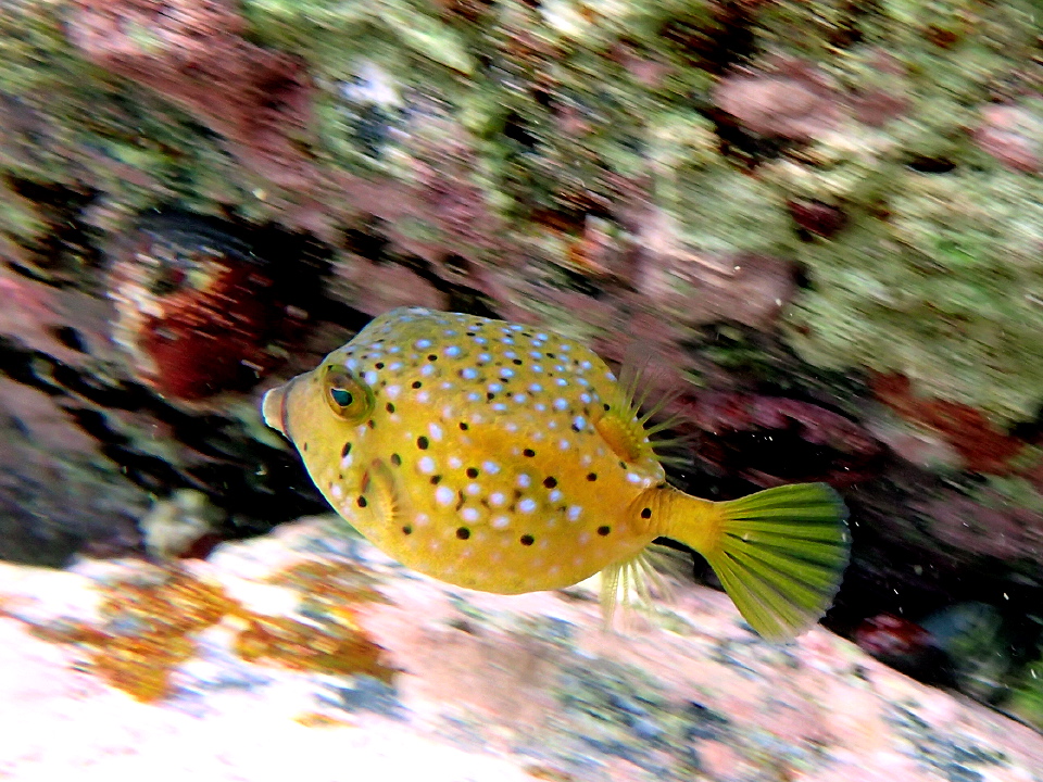 c0123363_1252437.jpg