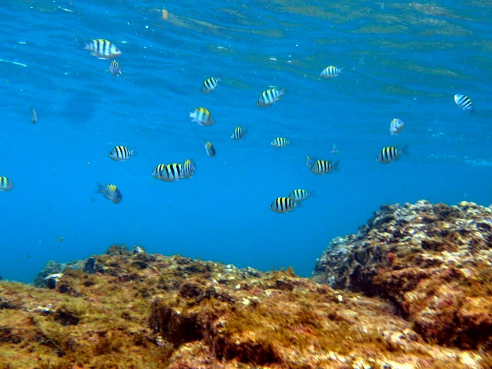 c0123363_1272318.jpg