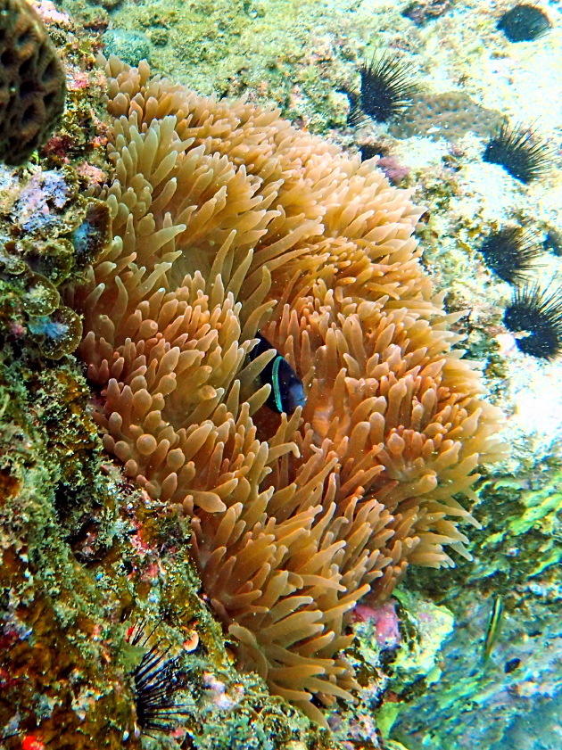 c0123363_130198.jpg