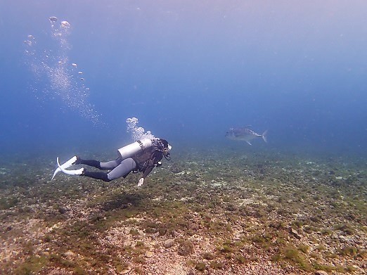e0132965_15310038.jpg