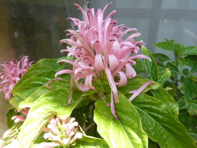e0278968_21445543.jpg