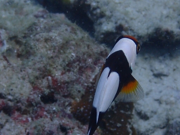 c0039073_23141471.jpg