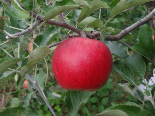 f0231573_18202691.jpg