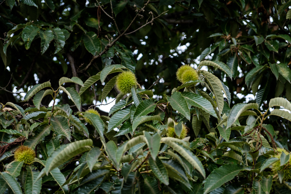 d0137876_21535813.jpg