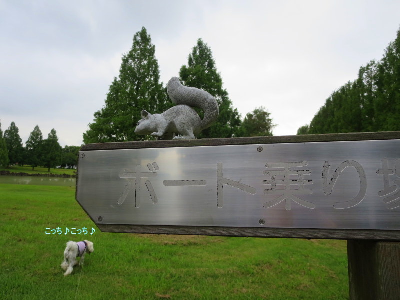 d0264176_18371958.jpg