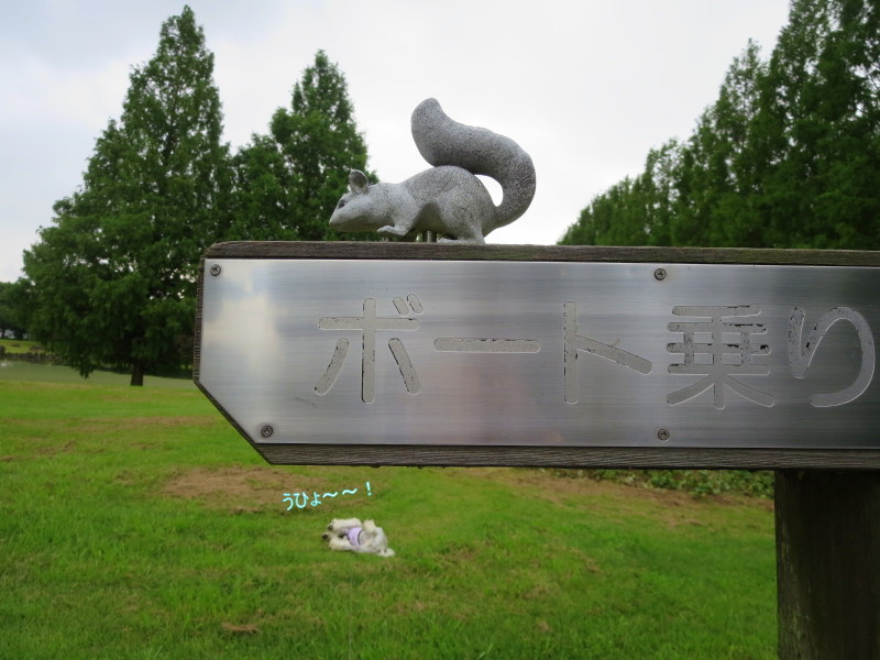 d0264176_18372939.jpg