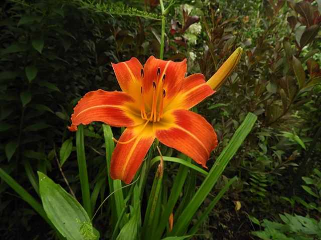 f0357487_21135832.jpg