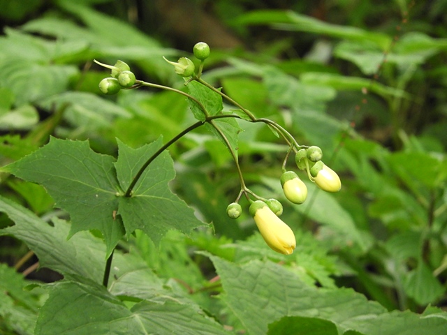 f0357487_2141504.jpg
