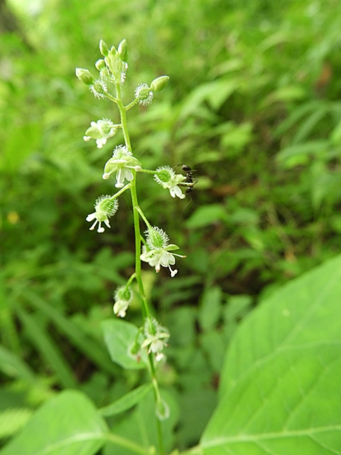 f0357487_21524733.jpg
