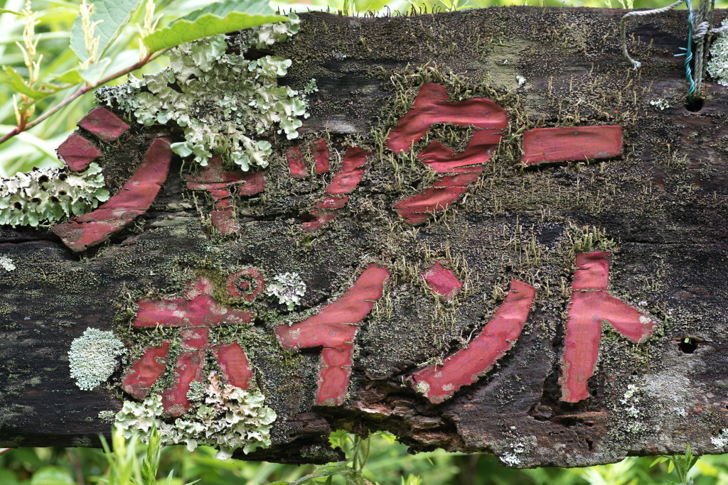 c0238497_09393562.jpg