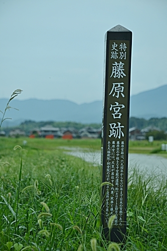 a0240403_10214590.jpg