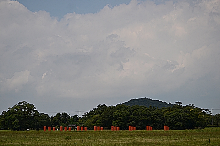 a0240403_10230841.jpg