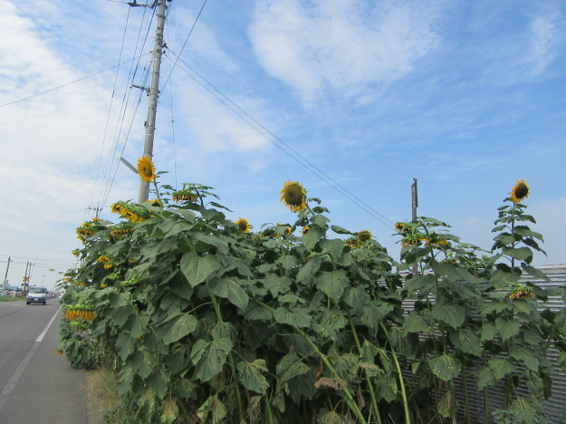 f0231709_21421510.jpg