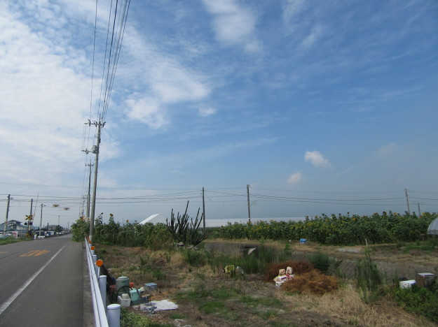 f0231709_21432019.jpg
