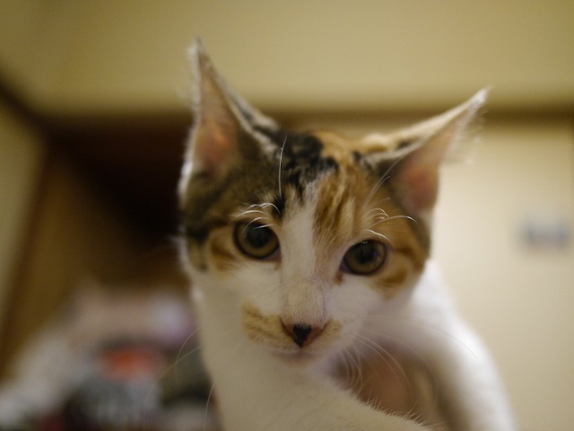 f0282319_08425589.jpg