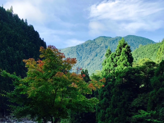 c0188525_1793318.jpg
