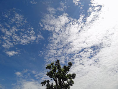 b0037926_16301780.jpg