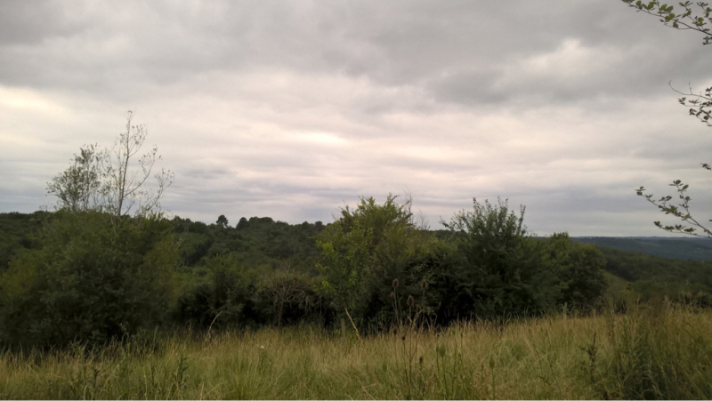 f0045630_05295601.jpg