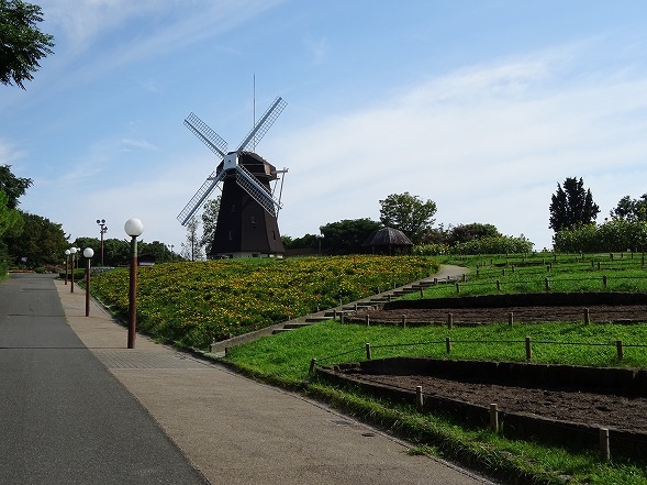 b0299042_15163880.jpg