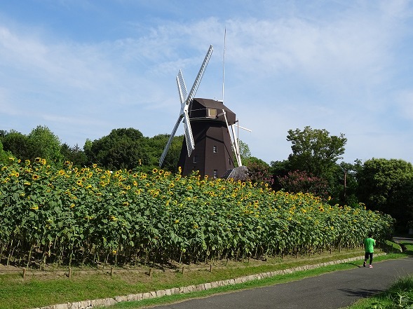 b0299042_15170869.jpg