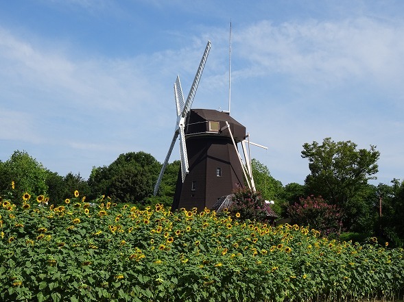 b0299042_15174787.jpg