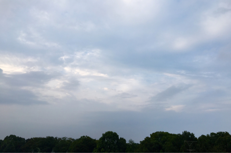 e0206242_21491562.jpg