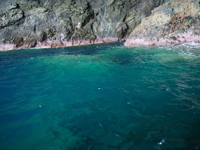 f0169147_14230245.jpg