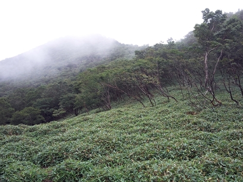 f0164450_01042251.jpg