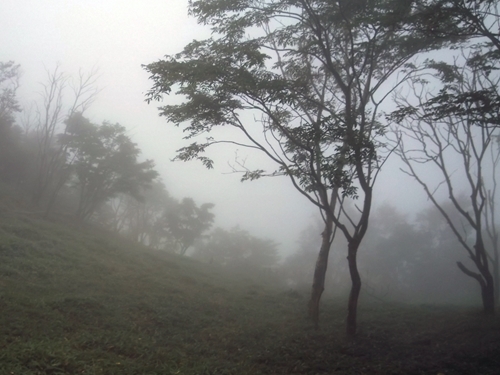 f0164450_01044384.jpg
