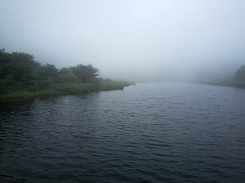 f0164450_01044993.jpg