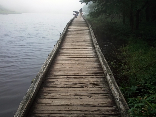 f0164450_01045788.jpg