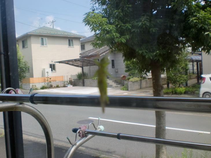 d0154954_08573112.jpg