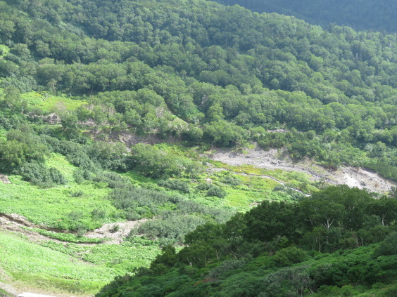 b0366555_12252478.jpg