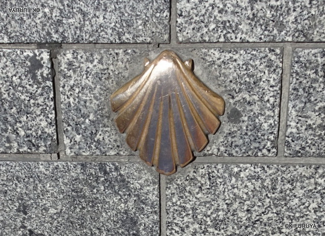 a0092659_22350673.jpg