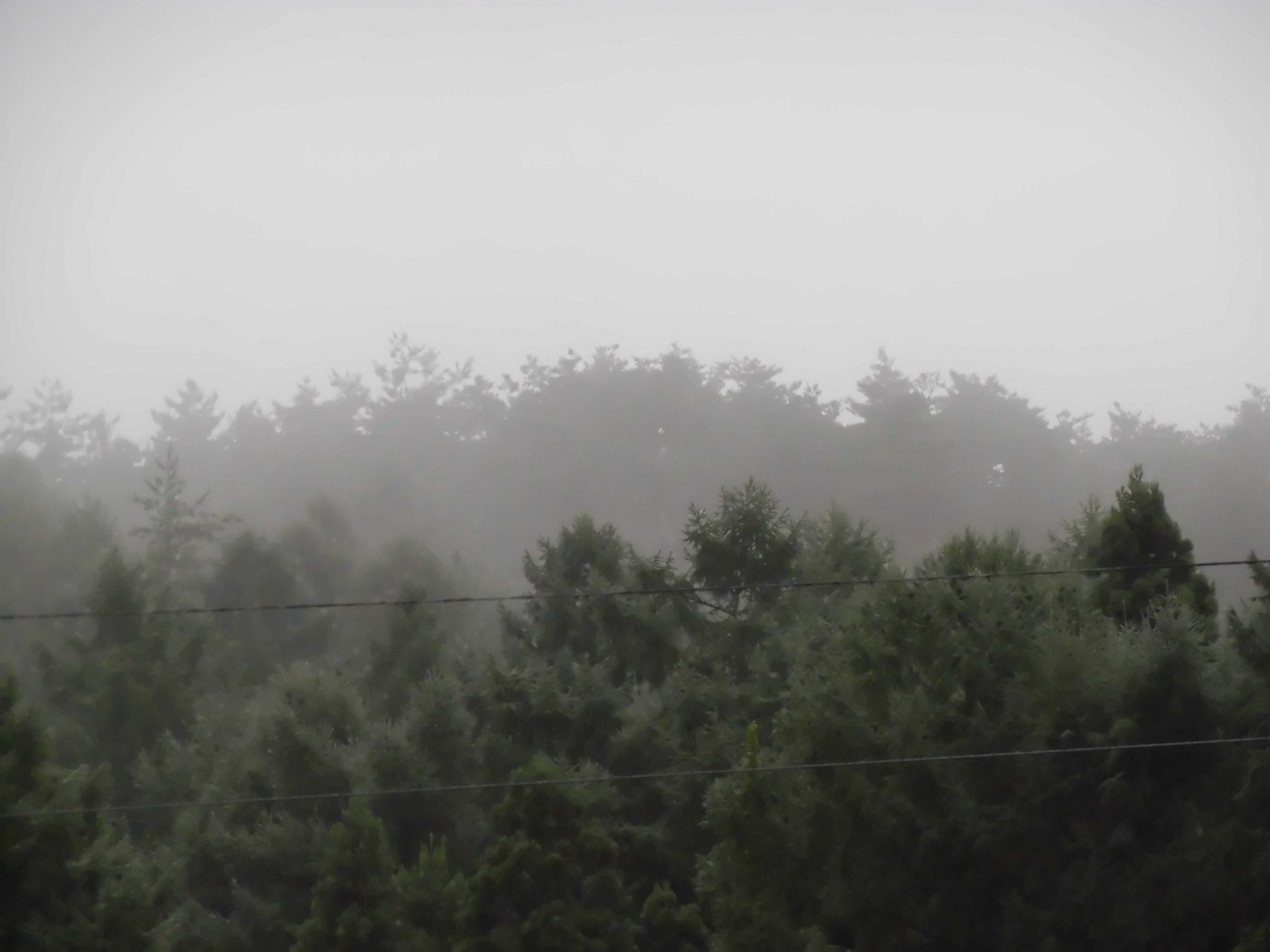 c0324959_14133871.jpg
