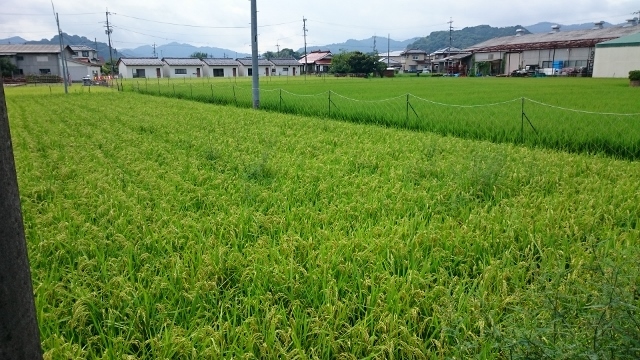 c0328559_16321035.jpg
