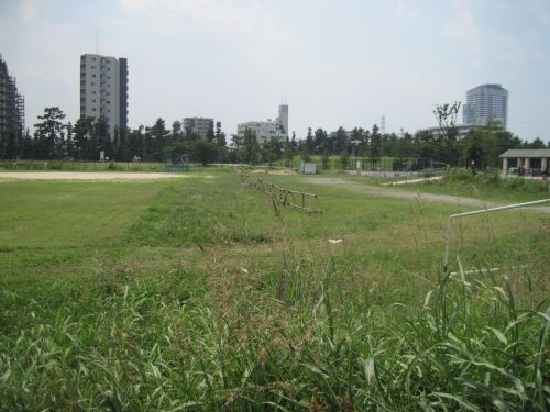 b0206463_93006.jpg