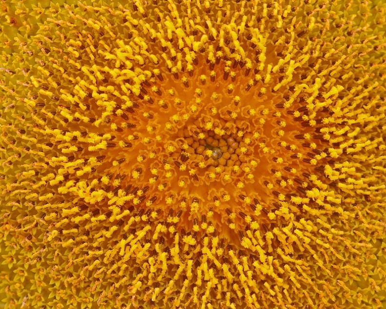 c0305565_17480556.jpg