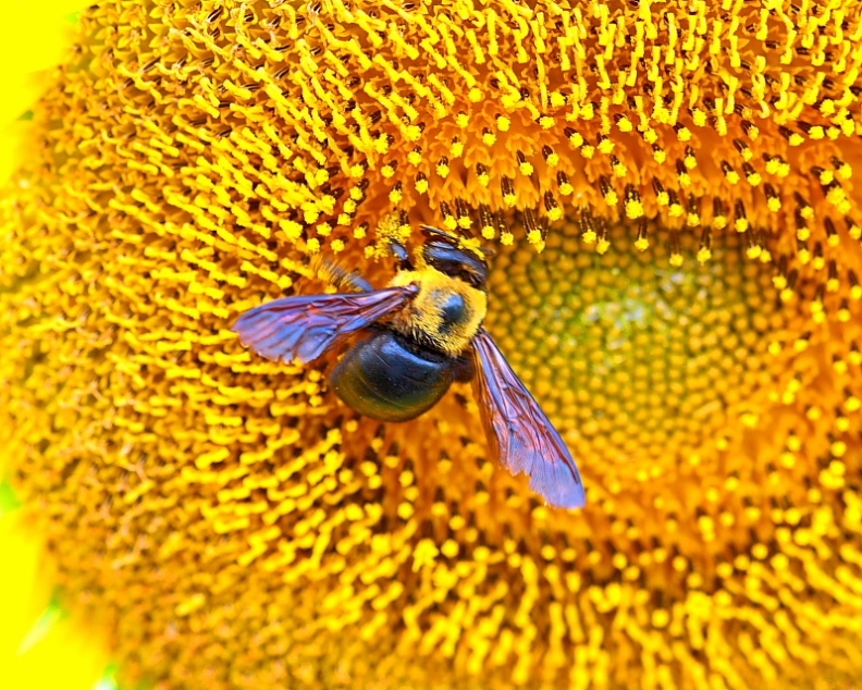 c0305565_17481343.jpg